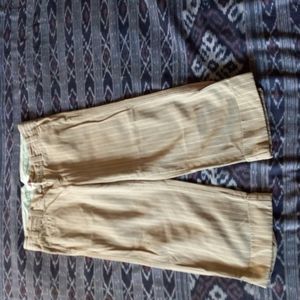 AMERICAN Eagle pin striped crop pants